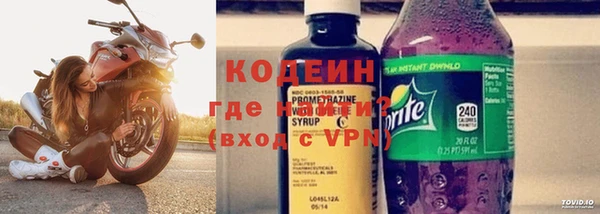 индика Иннополис