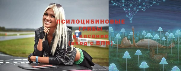 МДМА Инсар