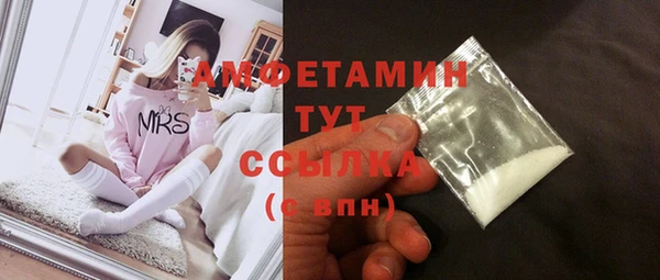 индика Иннополис