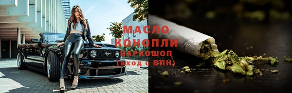 spice Инта