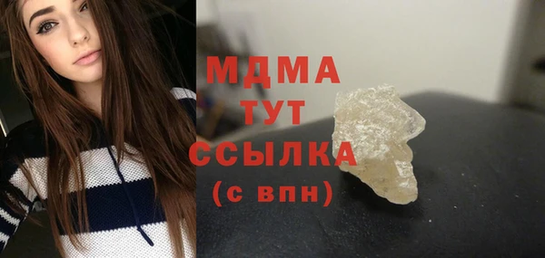 spice Инта