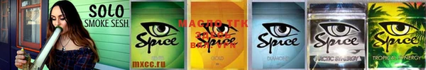 spice Инта