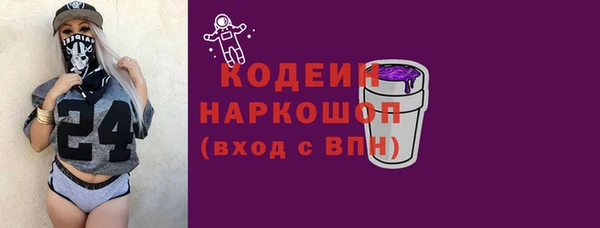 индика Иннополис