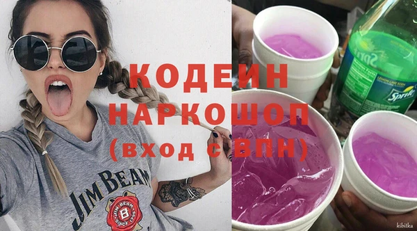 spice Инта