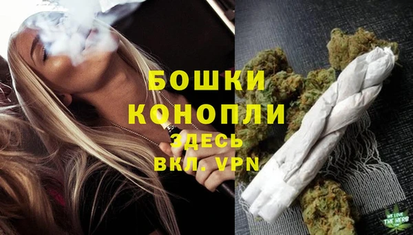 spice Инта