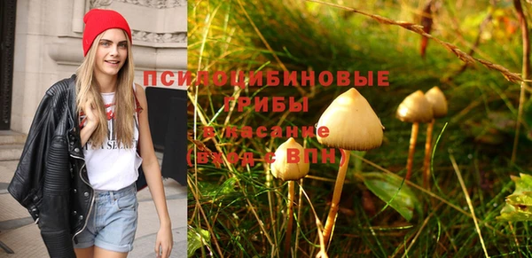 индика Иннополис