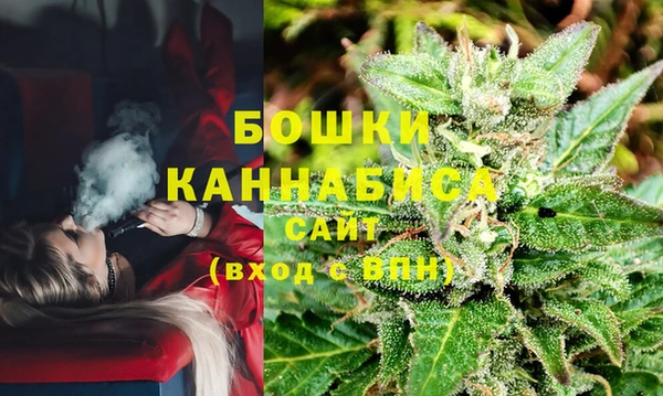 spice Инта