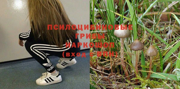 индика Иннополис