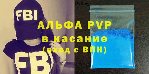 индика Иннополис