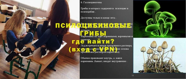 spice Инта