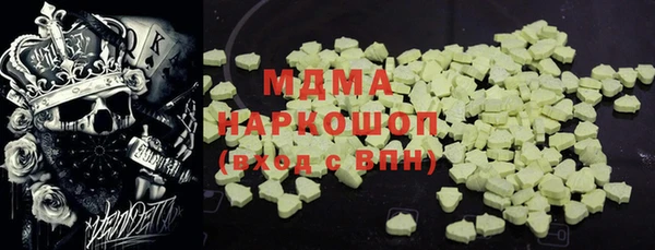 spice Инта