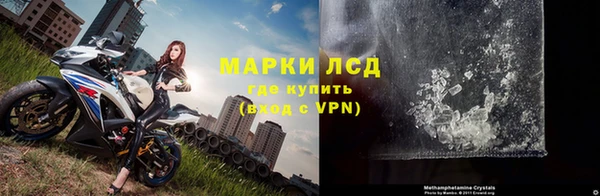 индика Иннополис