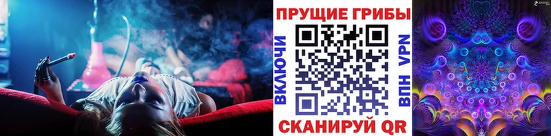 Купить где  Талдом  Галлюциногенные грибы мухоморы 